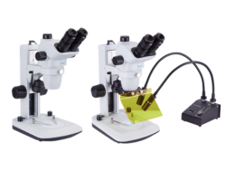 Stereo Microscope