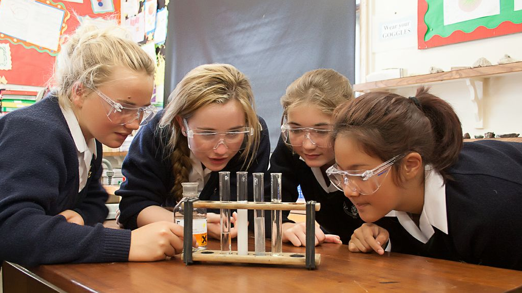 Australian Government Schools 