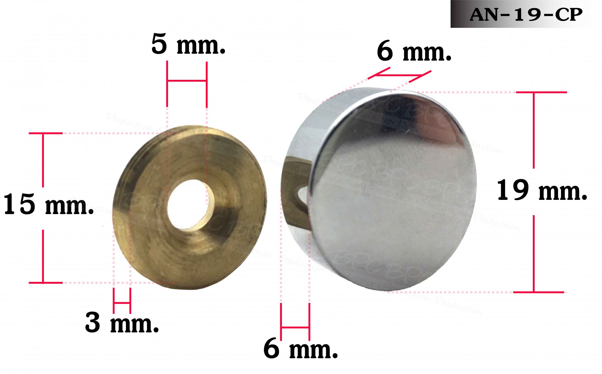 Nut bolt 19 mm Polished sliver ( Stainless )