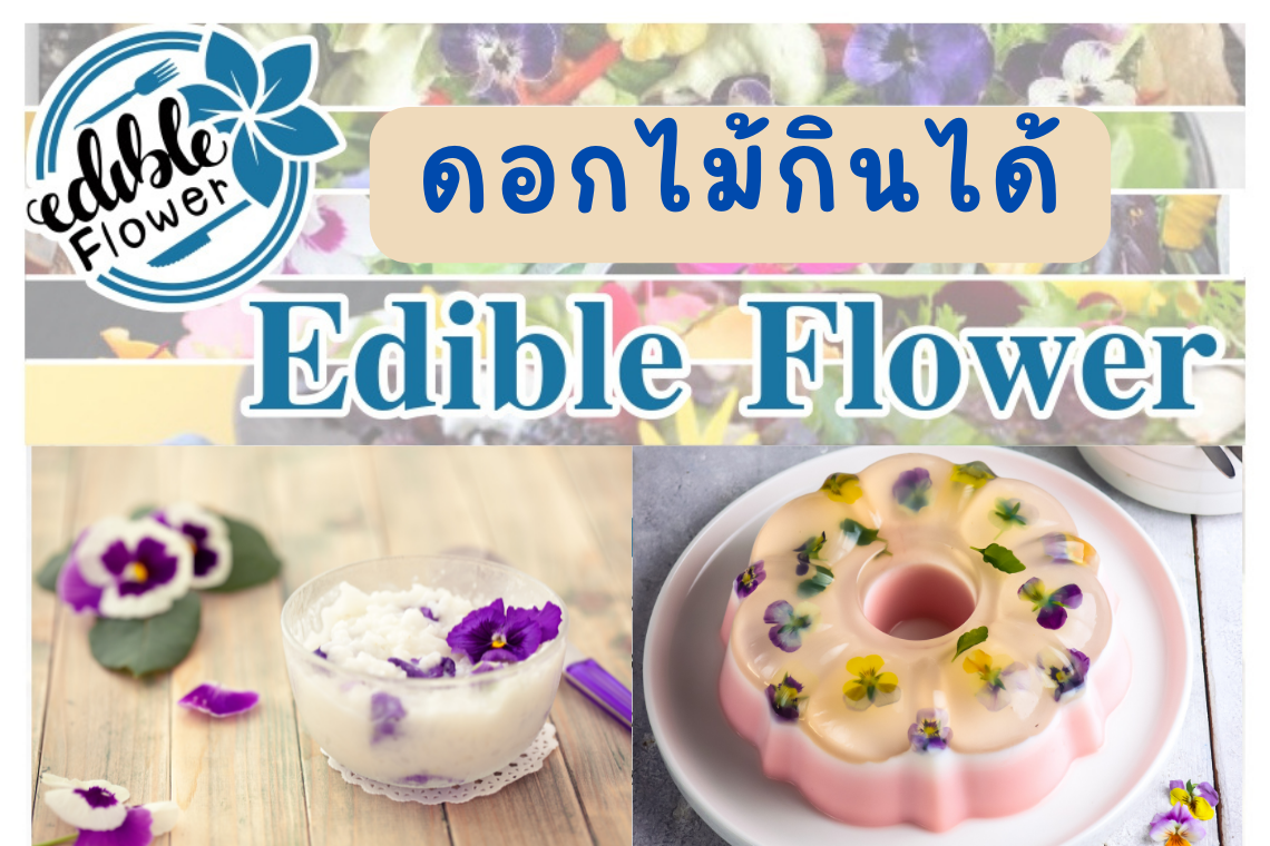 ดอกไม้กินได้