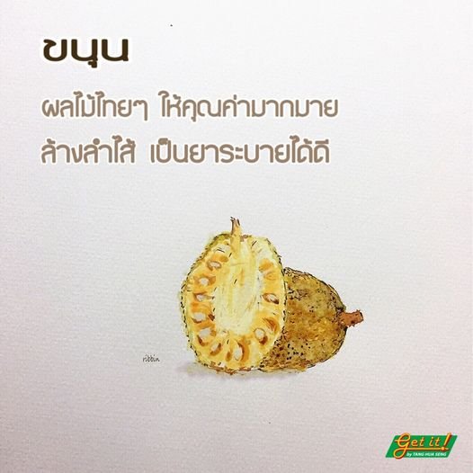 ขนุน (Jackfruit, Jakfruit