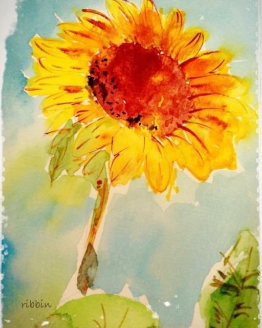  (Sunflower) 