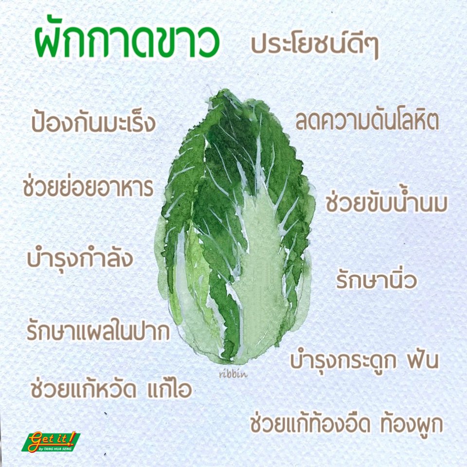 ผักกาดขาว (Chinese Cabbage)