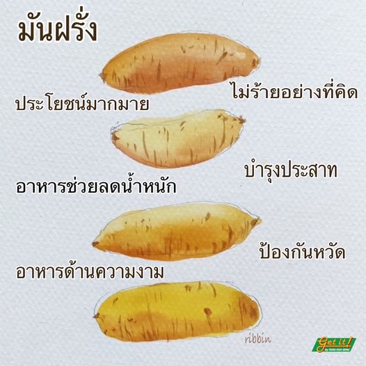 มันฝรั่ง