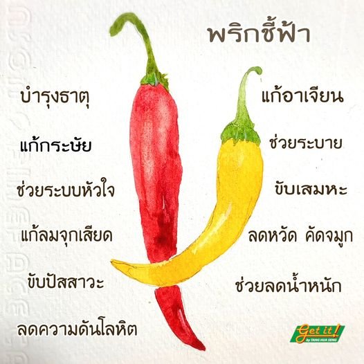 "พริกชี้ฟ้า"
