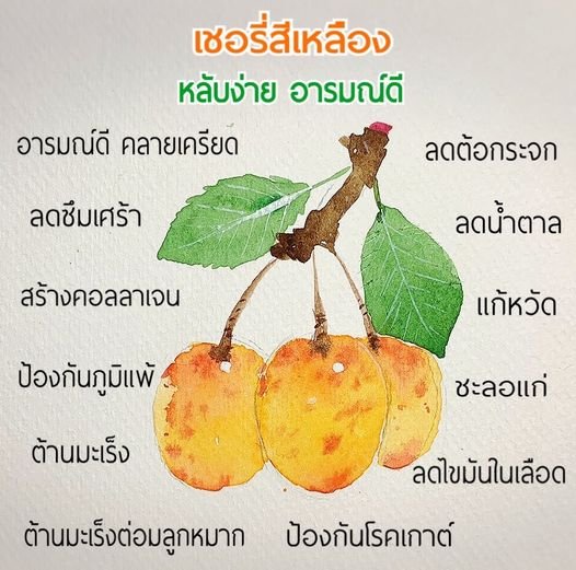 เชอรี่สีเหลือง