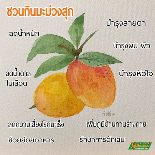 มะม่วง (Mango)