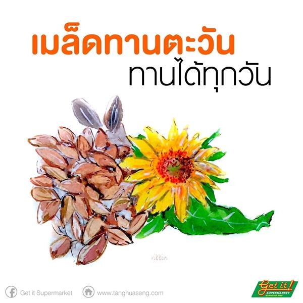 เมล็ดทานตะวัน (Sunflower Seed