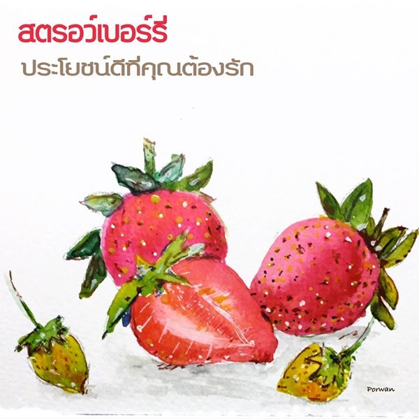 สตรอว์เบอร์รี่ (Strawberry)