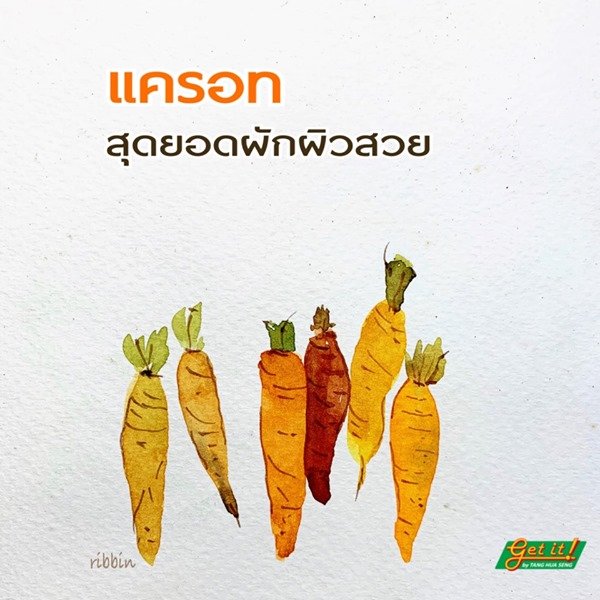 แครอท (Carrot)