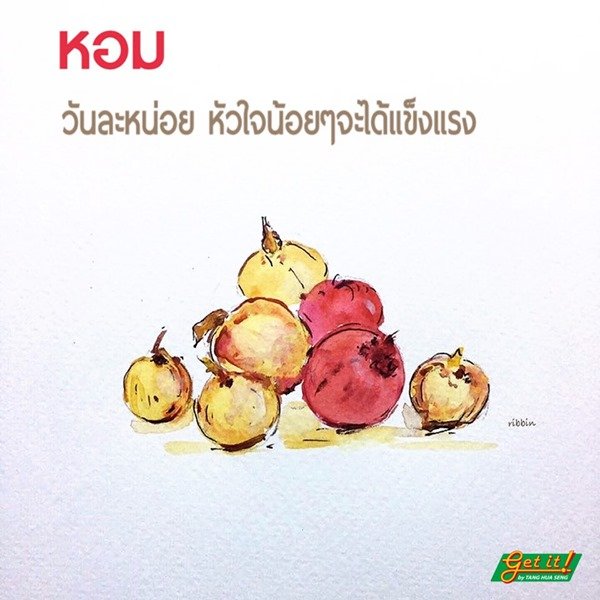หัวหอม Onion