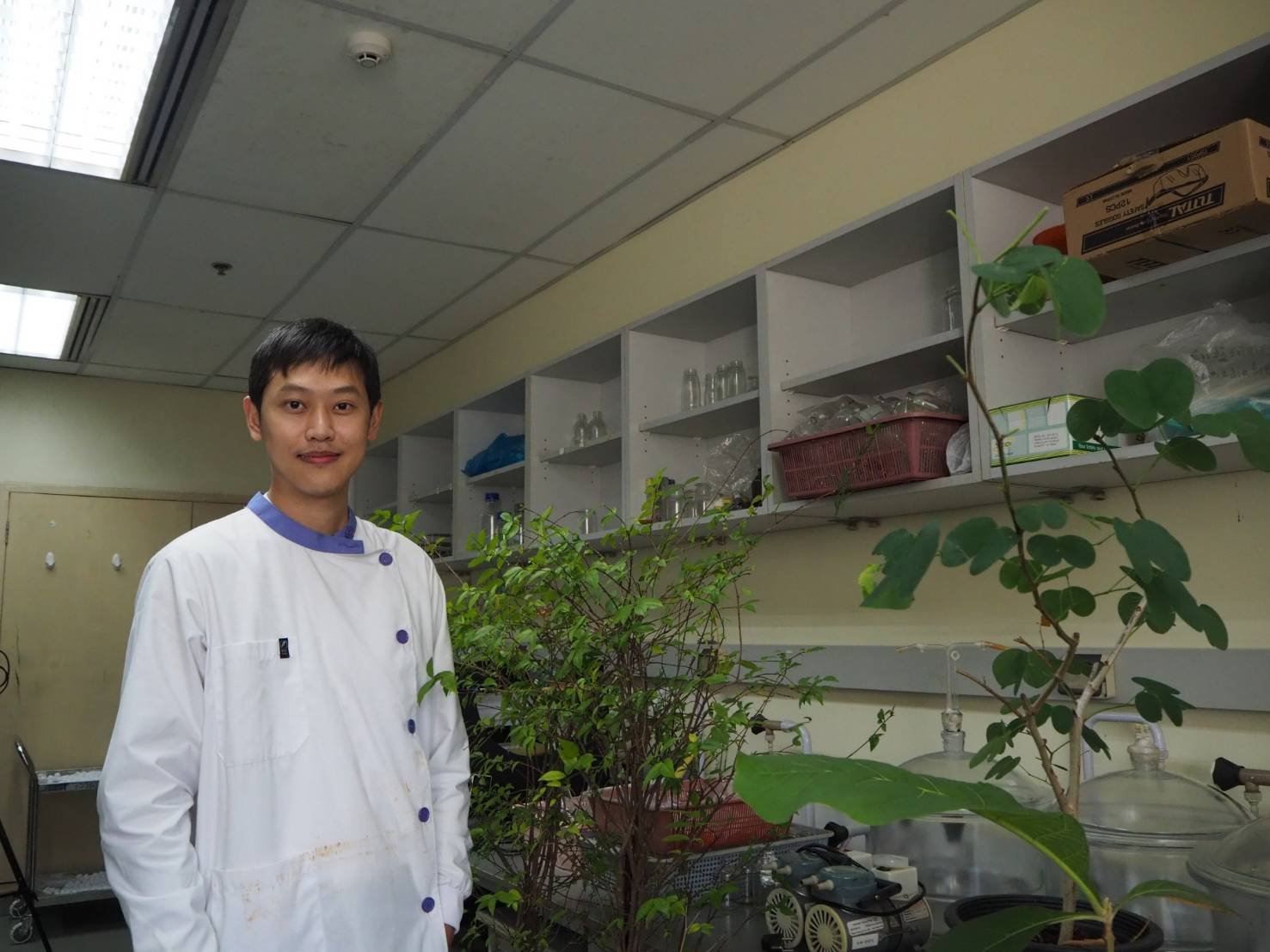 วช. หนุนนักวิจัย มจธ. ศึกษาต้นไม้ใหญ่ลดฝุ่น PM2.5 วช. หนุนนักวิจัย มจธ. ศึกษาต้นไม้ใหญ่ลดฝุ่น PM2.5