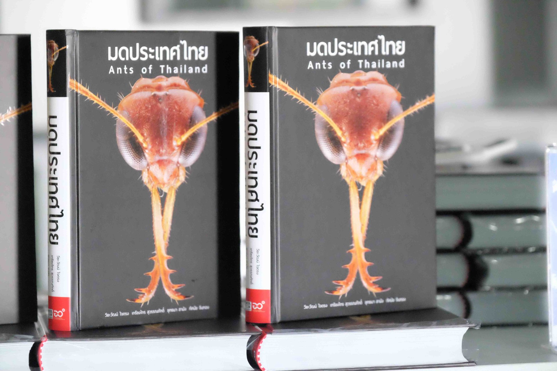 อพวช. เปิดตัว “หนังสือมดประเทศไทย” พร้อมผลักดันองค์ความรู้ด้านอนุกรมวิธานสู่สังคม