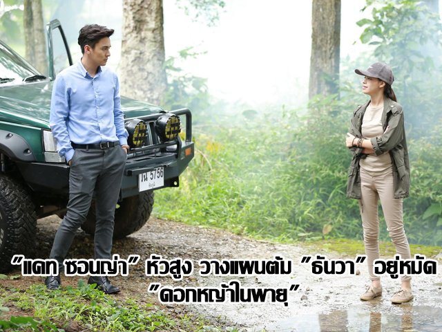 "แคท ซอนญ่า" หัวสูง วางแผนต้ม "ธันวา" อยู่หมัด "ดอกหญ้าในพายุ" "แคท ซอนญ่า" หัวสูง วางแผนต้ม "ธันวา" อยู่หมัด "ดอกหญ้าในพายุ"