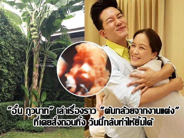 "อั๋น ภูวนาท" เล่าเรื่องราว "ต้นกล้วยจากงานแต่ง" ที่เคยสั่งถอนทิ้ง วันนี้กลับทำให้ยิ้มได้ "อั๋น ภูวนาท" เล่าเรื่องราว "ต้นกล้วยจากงานแต่ง" ที่เคยสั่งถอนทิ้ง วันนี้กลับทำให้ยิ้มได้