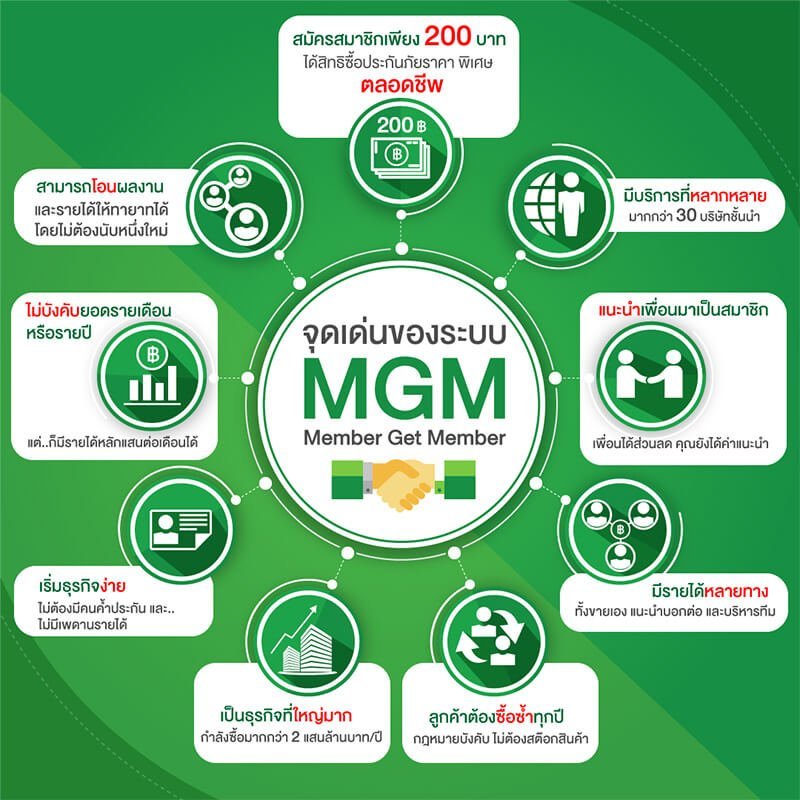 แผนการตลาด mgm
