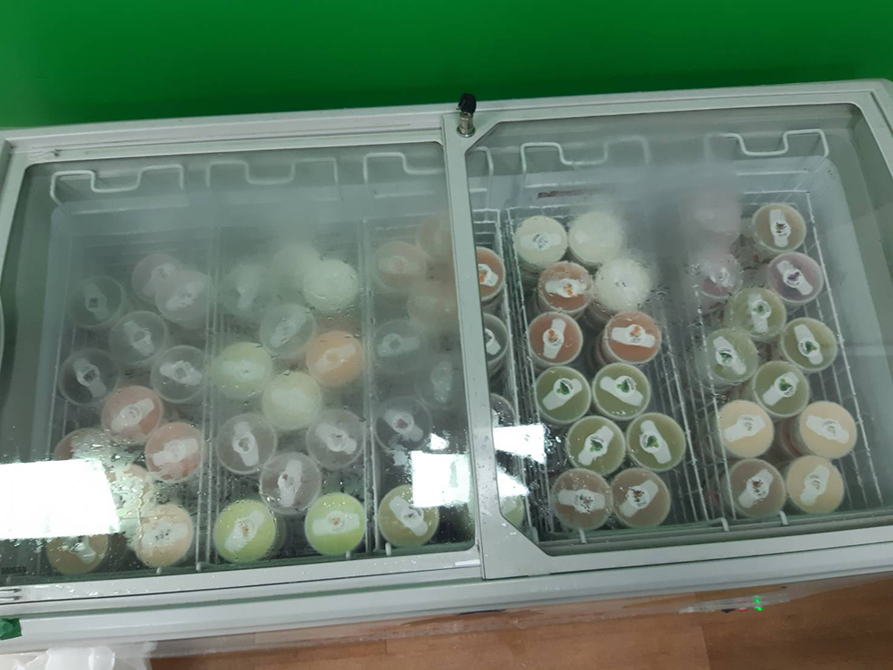 ร้านไอศครีม_ร้านไอศครีมที่อร่อย_ร้านไอศครีมที่อร่อยที่สุดในไทย_เดย์ไอศครีม