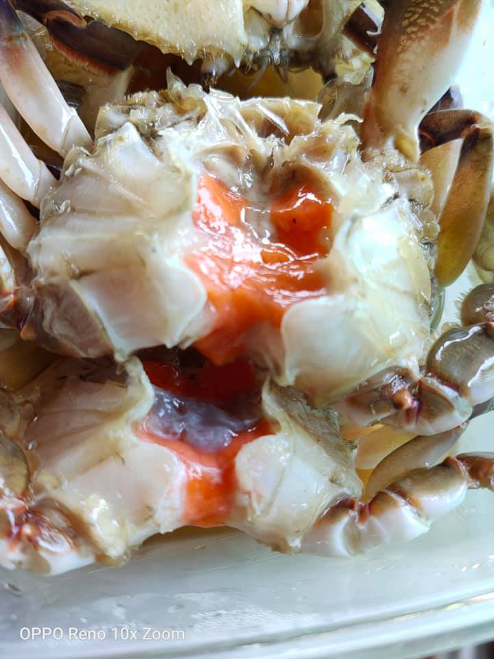 ร้านไอศครีม_ร้านไอศครีมที่อร่อย_ร้านไอศครีมที่อร่อยที่สุดในไทย_เดย์ไอศครีม