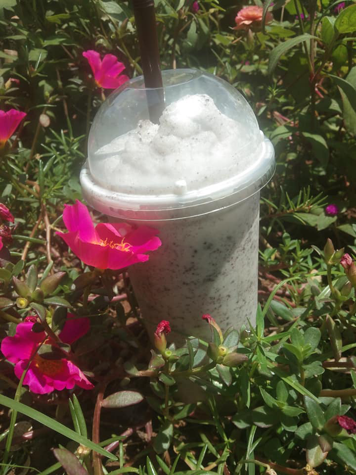 ร้านไอศครีม_ร้านไอศครีมที่อร่อย_ร้านไอศครีมที่อร่อยที่สุดในไทย_เดย์ไอศครีม