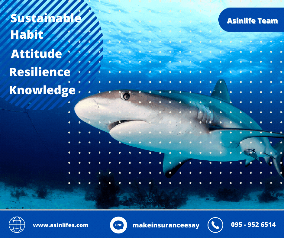 บทเรียนจากเด็กตกปลาฉลาด บทเรียนจากเด็กตกปลาฉลาด