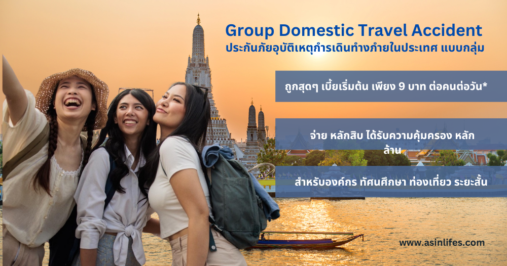 AIG_Travel_Domestic