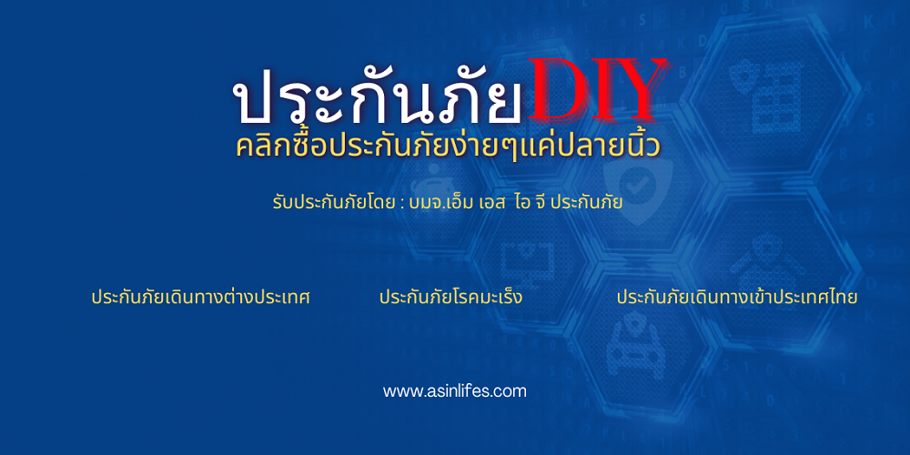 ประกันภัยการเดินทาง  I- DIY