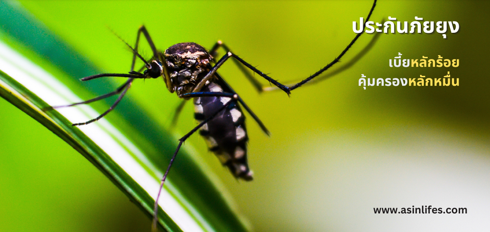 ประกันยุง ประกันยุง