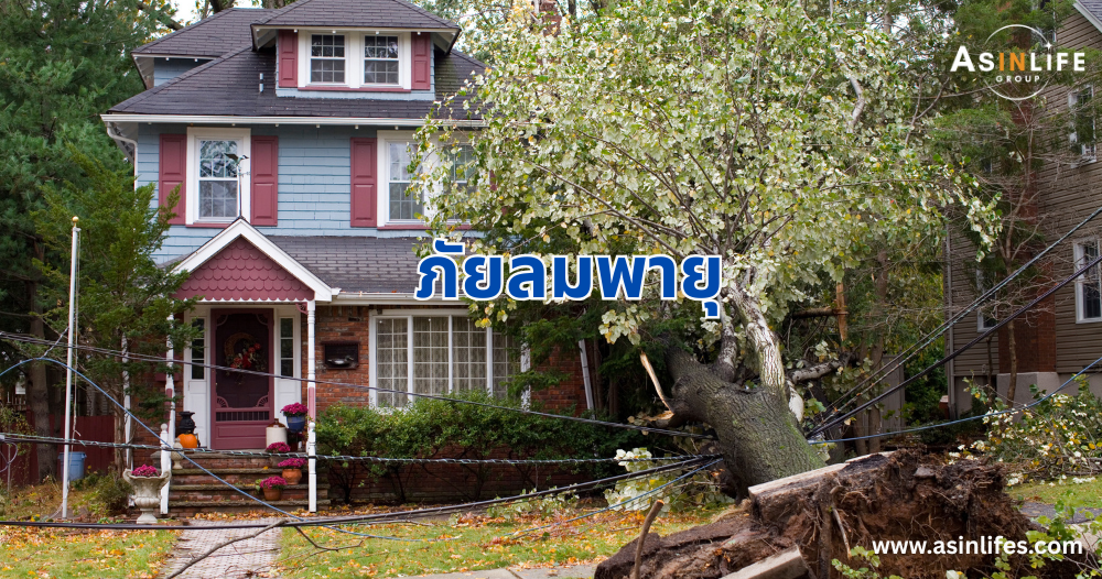 ภัยลมพายุ