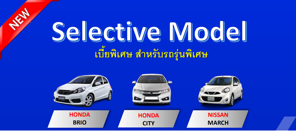 ประกันภัยรถยนต์ ประเภท 1 Selective Model