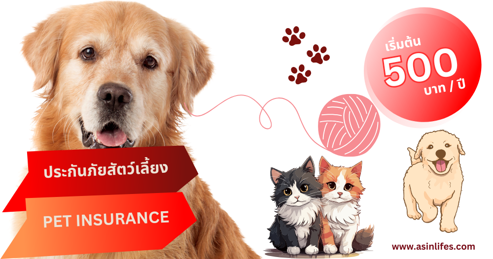 ประกันภัยสัตว์เลี้ยง Jmart  Pet Insurance