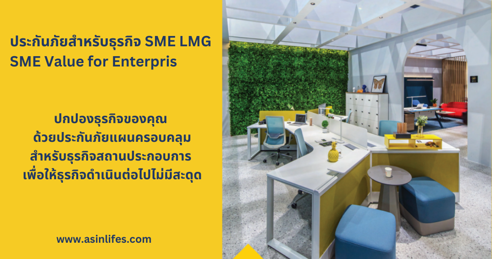 ประกันภัย LMG SME Value for Enterprise ประกันภัย LMG SME Value for Enterprise