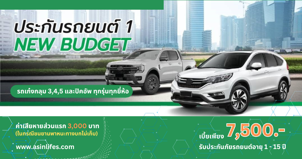 ไทยวิวัฒน์ประเภท1Budget ไทยวิวัฒน์ประเภท1Budget
