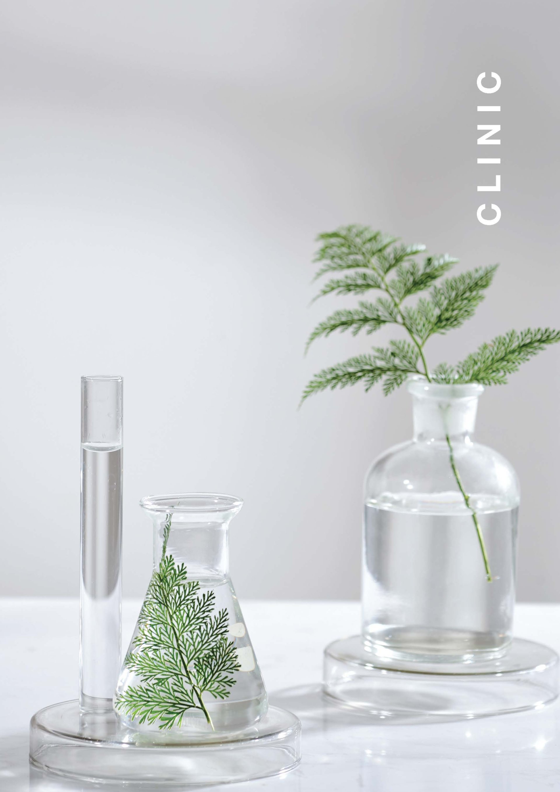 Catalogue