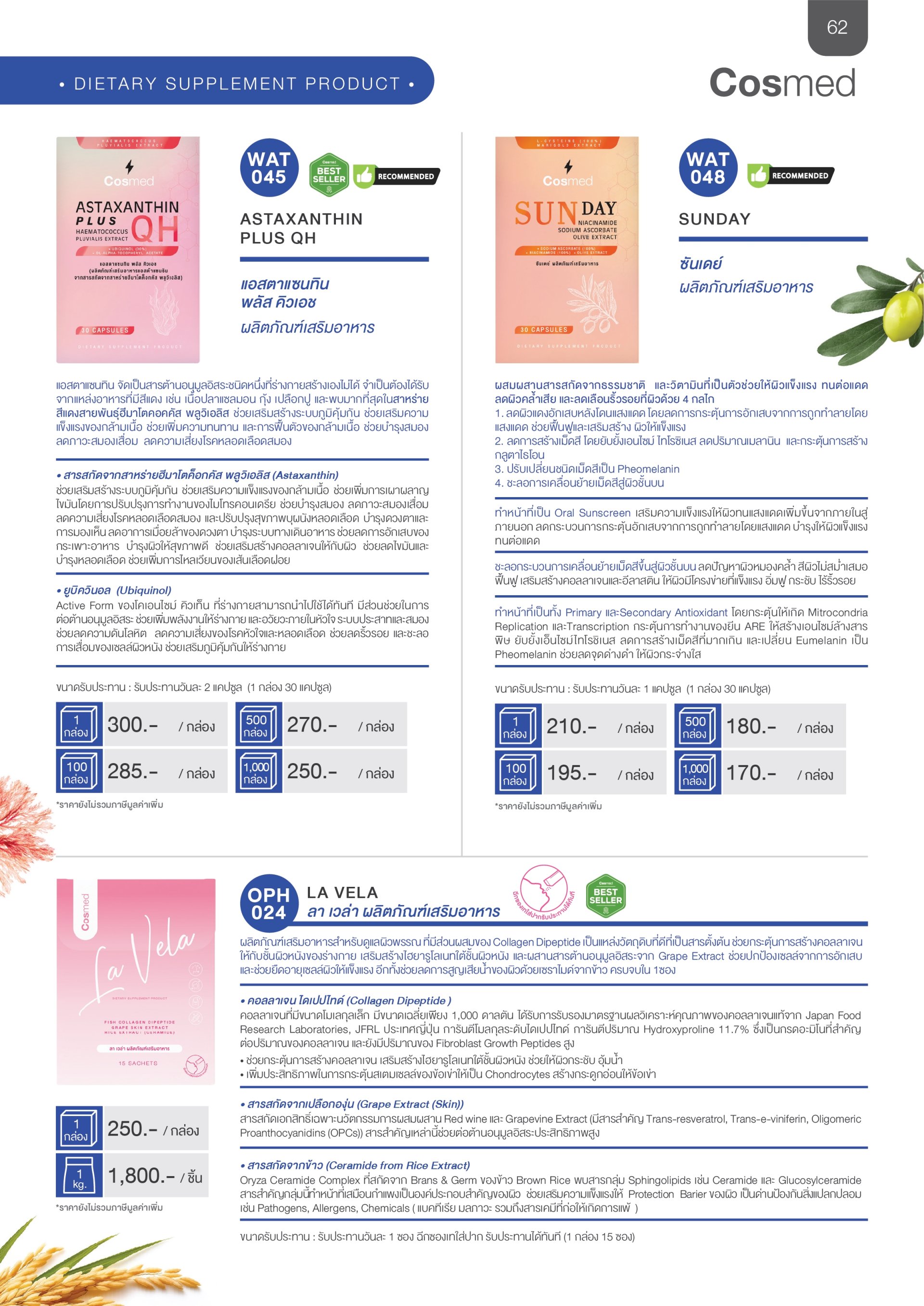 Catalogue
