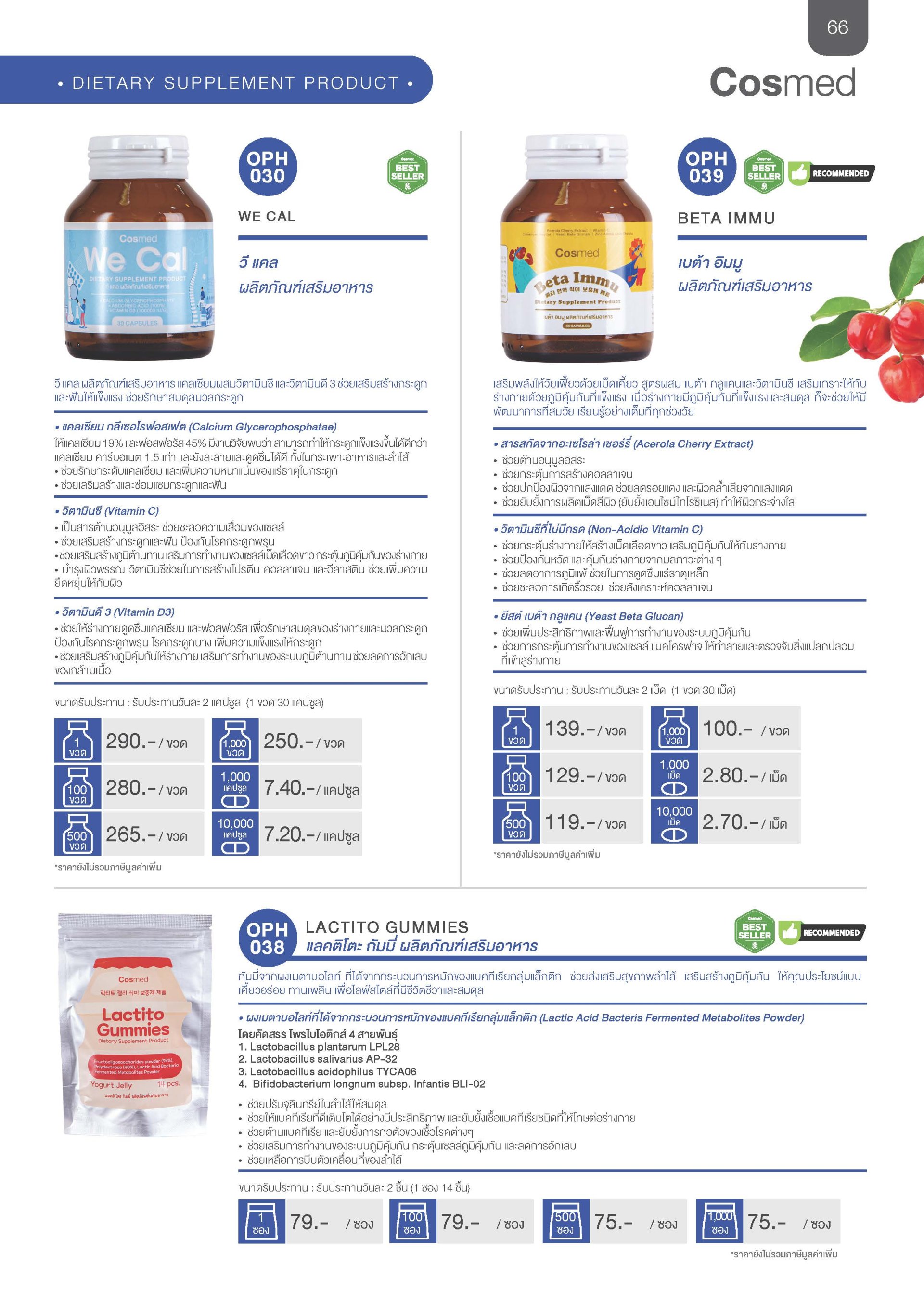 Catalogue
