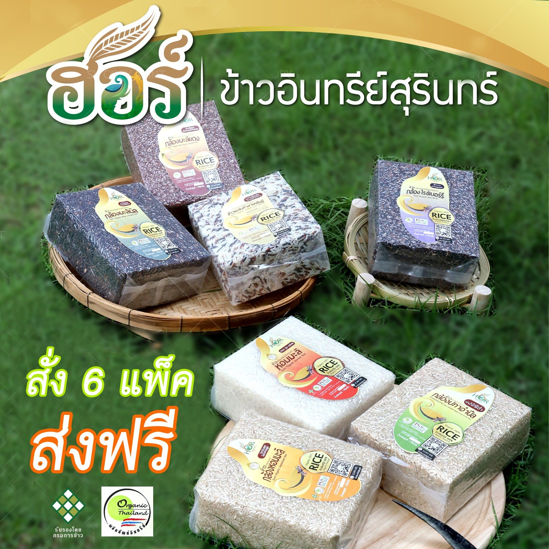 โปรโมชั่นข้าวอินทรีย์สุรินทร์ 