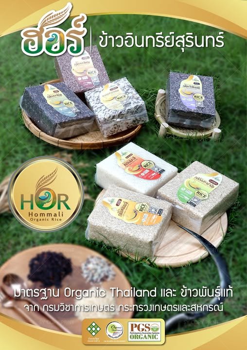 โปรโมชั่นข้าวฮอร์ ข้าวอินทรีย์สุรินทร์