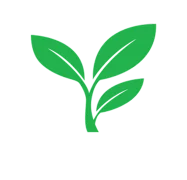 Logo_my_smart_latex_padding