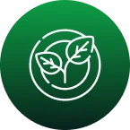 s3_icon_organic