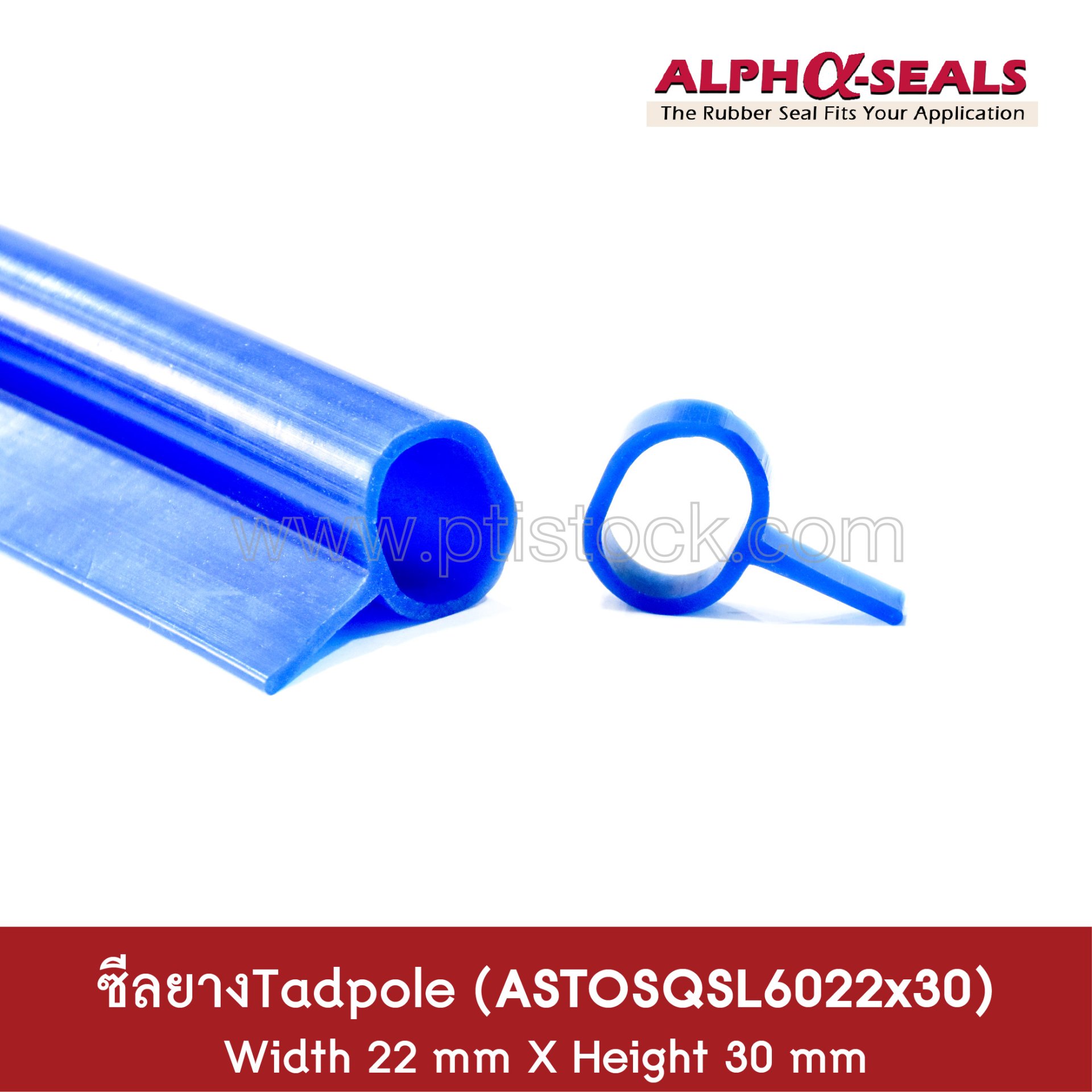 Silicone rubber seal Tadpole Section ASTOSQSL6022x30 Tel: 0621515494 ...
