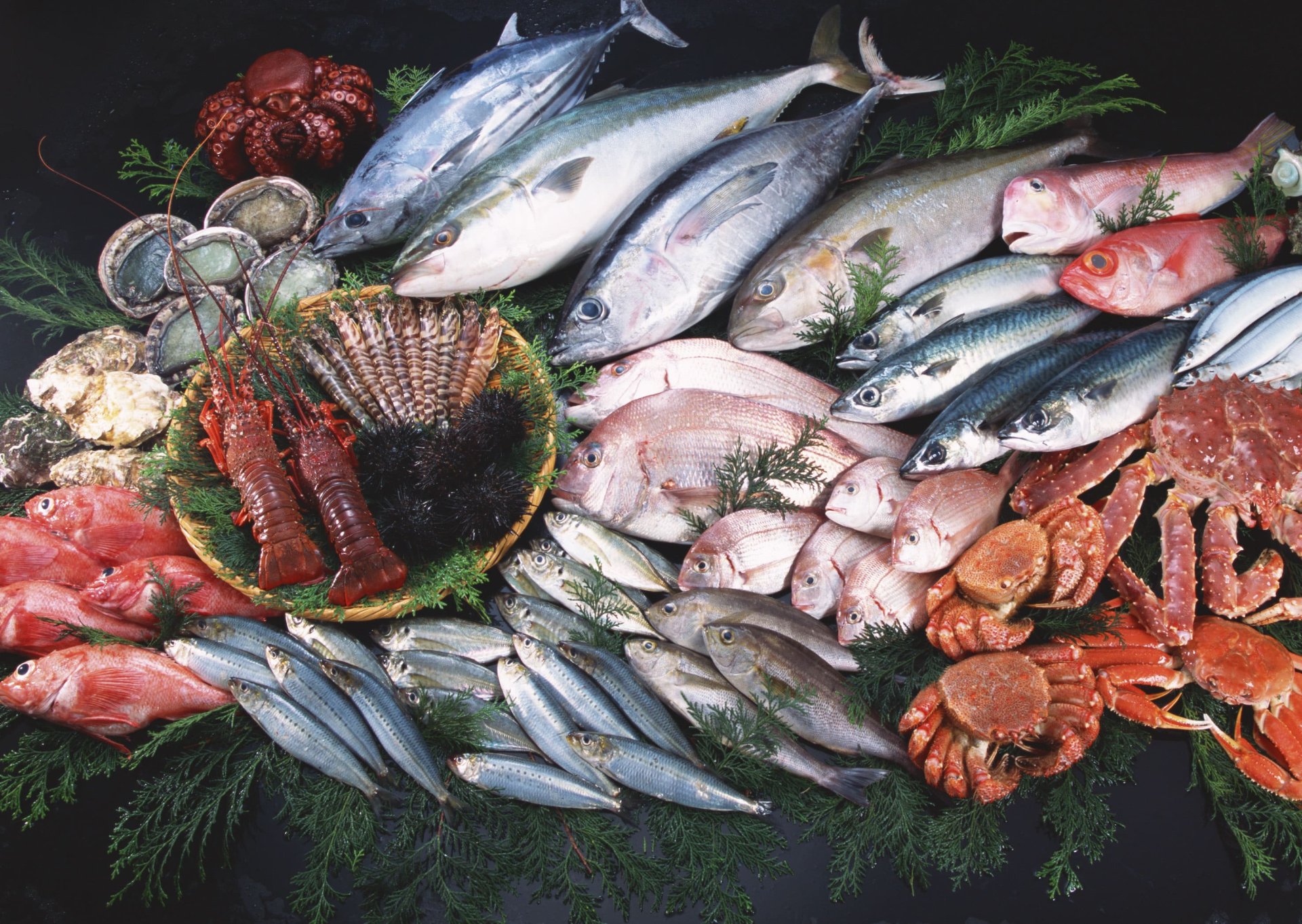 Fresh Fish