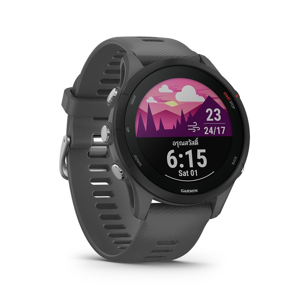 Garmin basic cheap