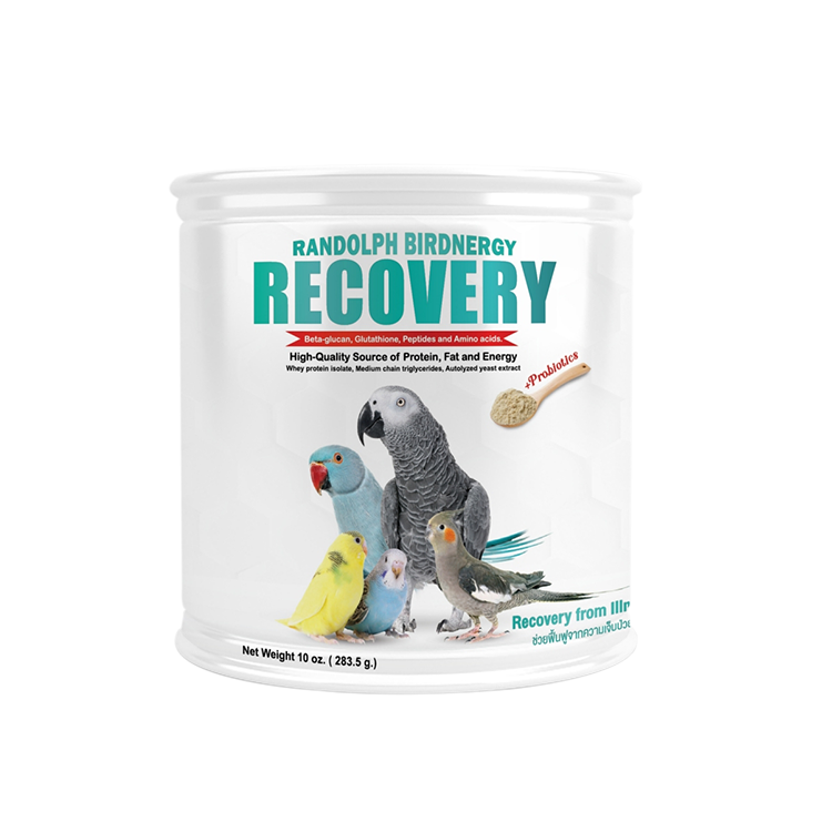 อาหารฟืนฟูสำหรับนกป่วย Randolph Birdnergy Recovery