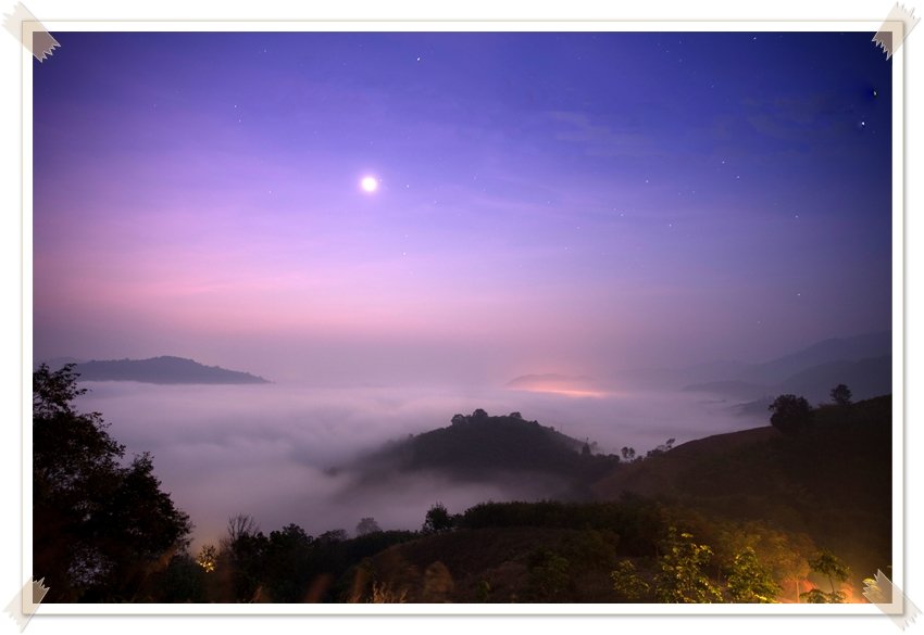 Phu Huay Ison sea of ​​mist