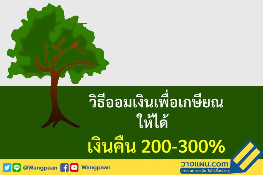 ประกันผลตอบแทนสูง ประกันผลตอบแทนสูง