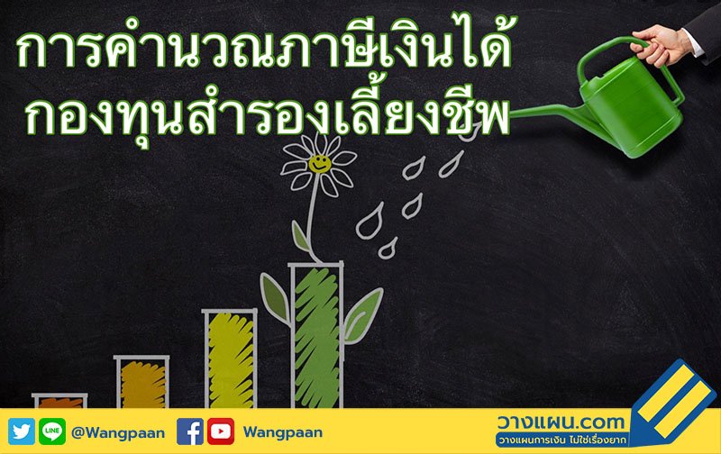 กองทุนสำรองเลี้ยงชีพ กองทุนสำรองเลี้ยงชีพ