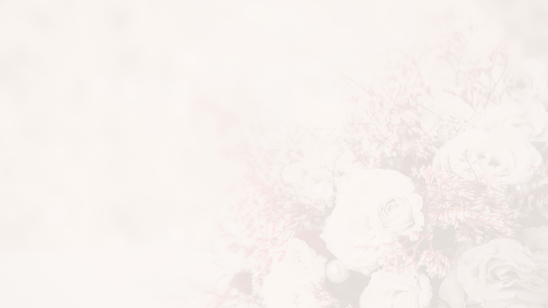 ดอกไม้เจ้าสาว ดอกไม้เจ้าสาว