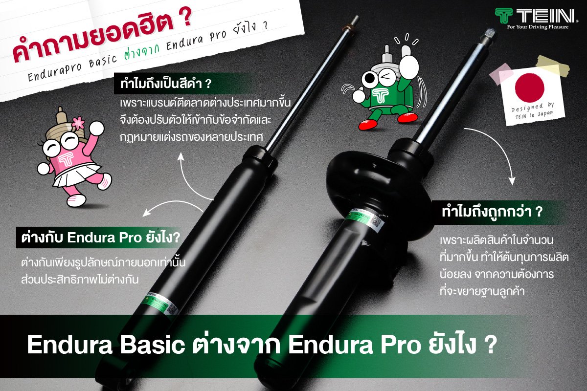 tein endura pro basic hero pic content 2 tein endura pro basic hero pic content 2