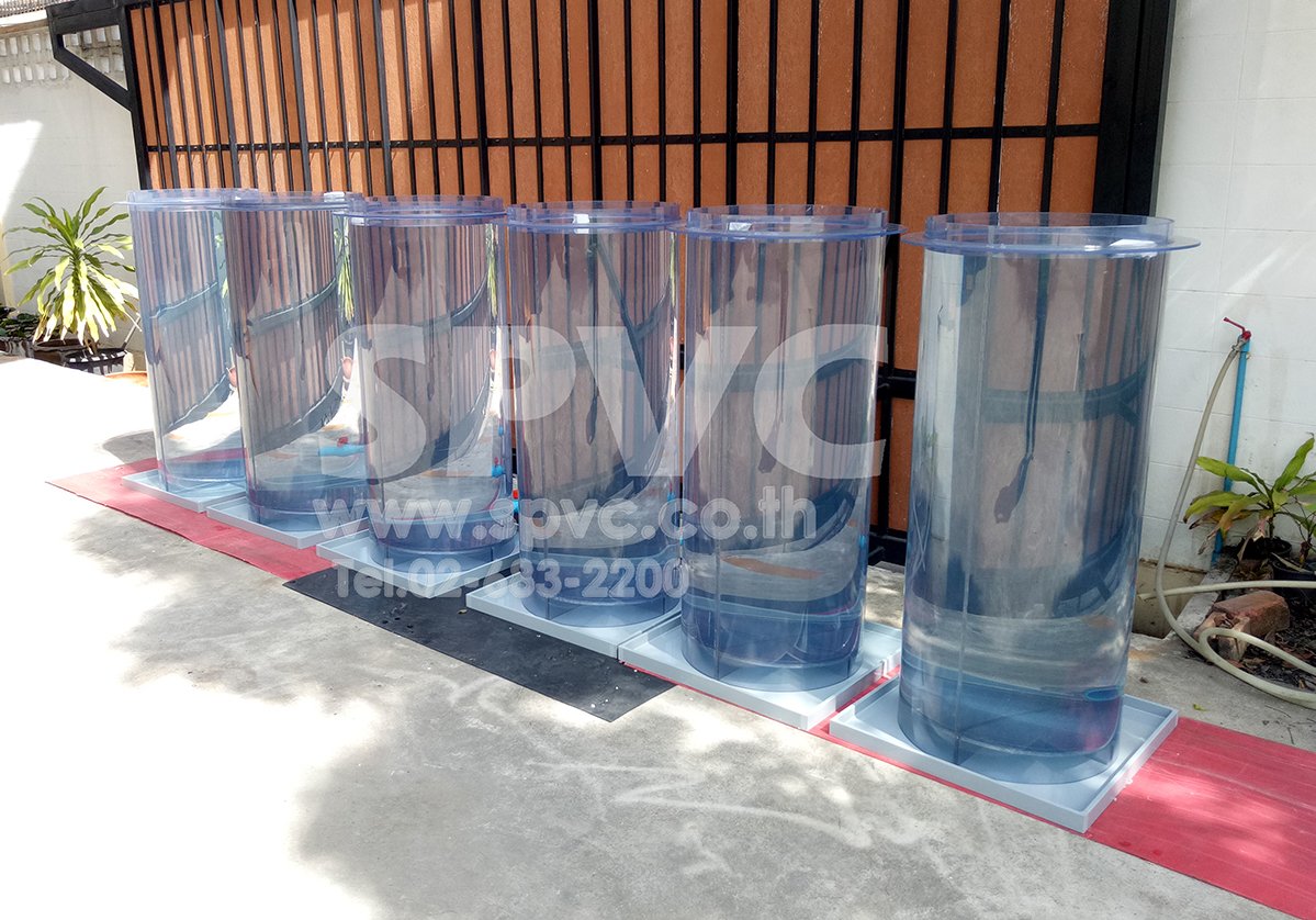 ถัง พีวีซี สีใส (Clear PVC Tank, Clear Tank)