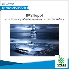 B9Vitapol